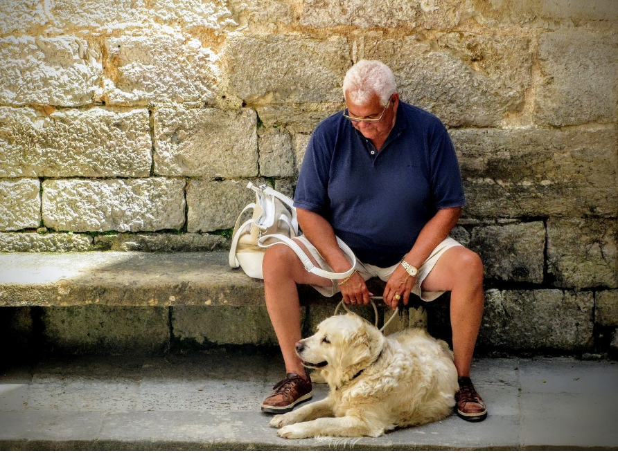 Humans and dog companionship